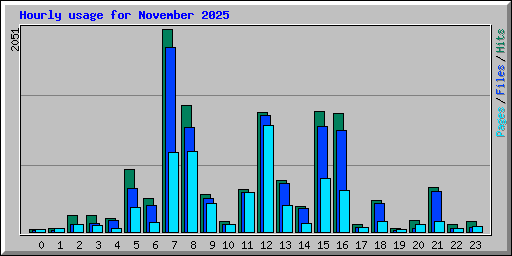 Hourly usage for November 2025
